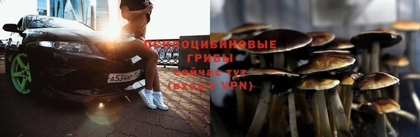 кристаллы Каменка